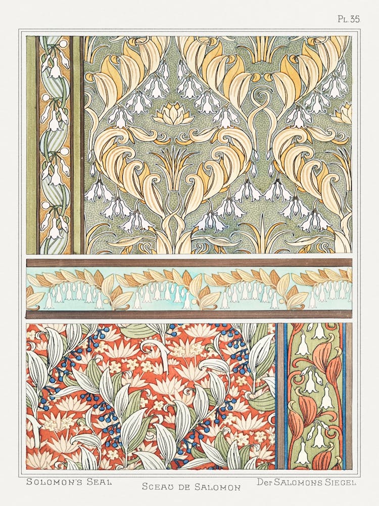 Siegel Salomos Aus Der Pflanze Und Ihren Ornamentalen Anwendungen (1896), Maurice Pillard Verneuil 2