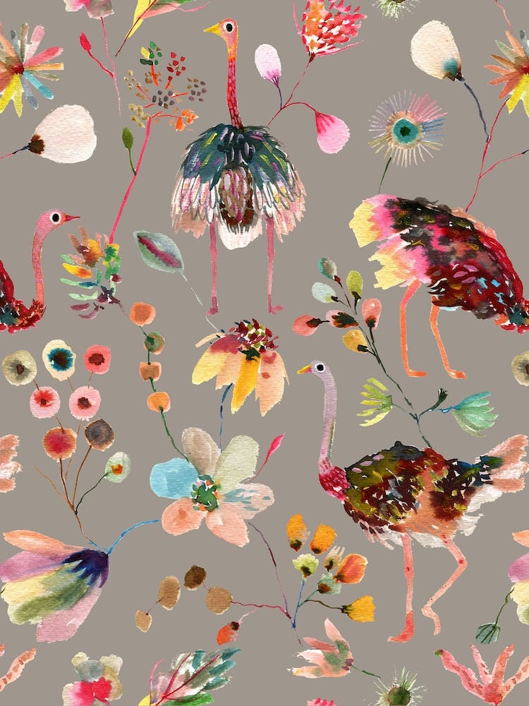 Ostriches And Floral Grey
