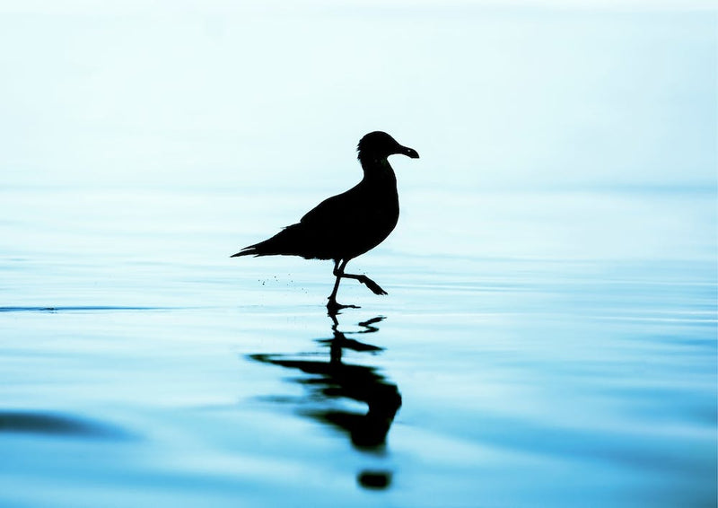 Tiptoe