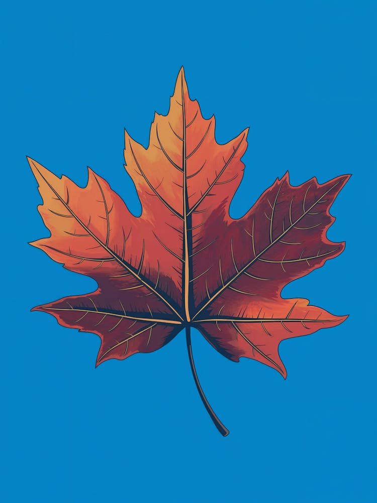 Maple Leaf