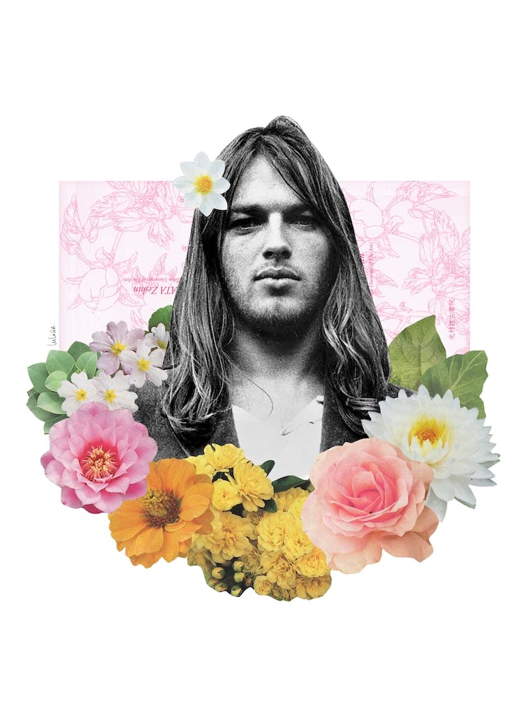Gilmour Collage