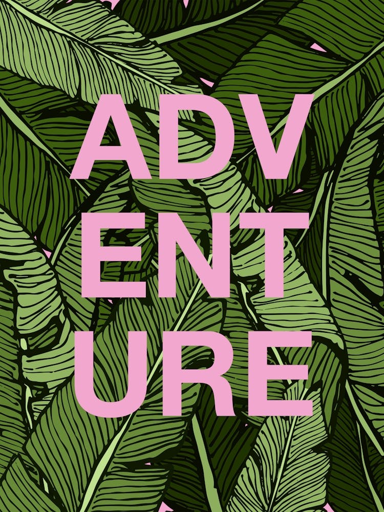 Adventure