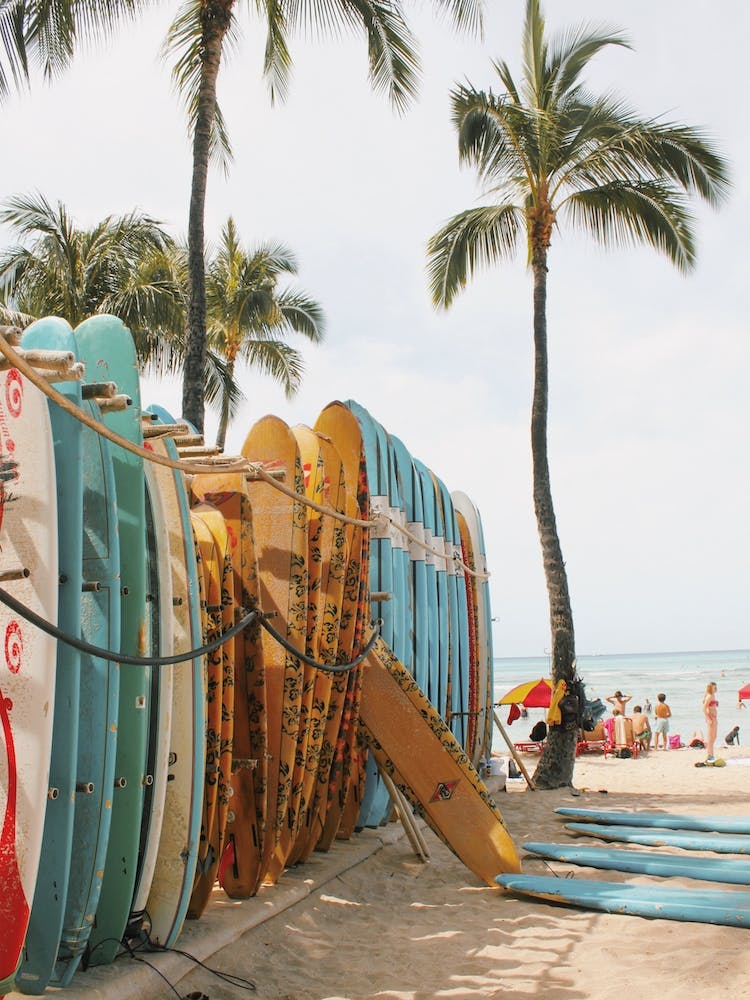 Surfboards For Rent