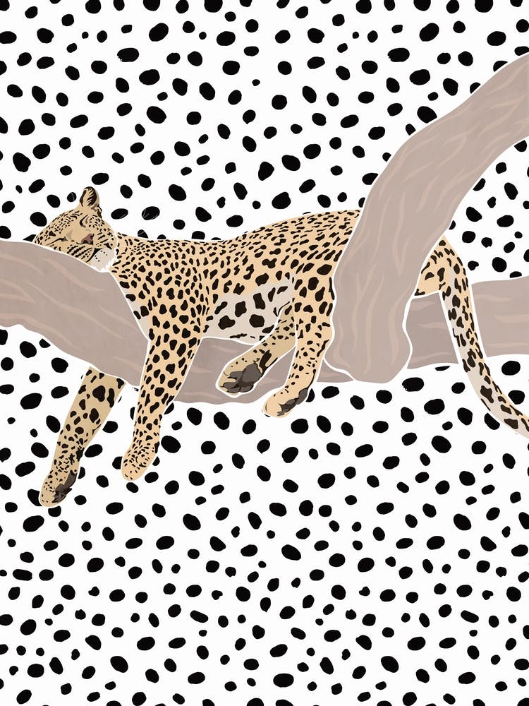 Leopard Sleeping On A Branch 2