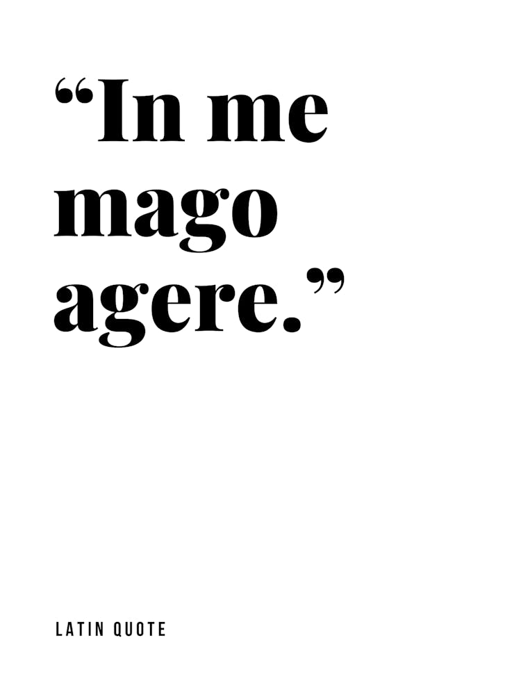 Typography Wall – Minimal Latin Quote Poster for Home Decor