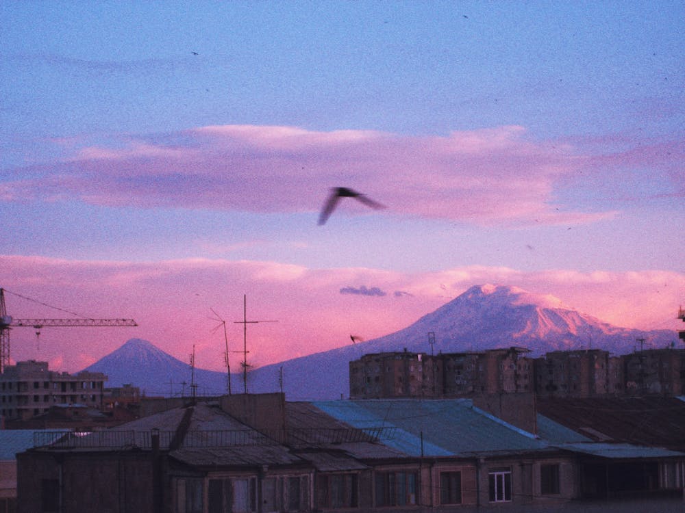 Flying High