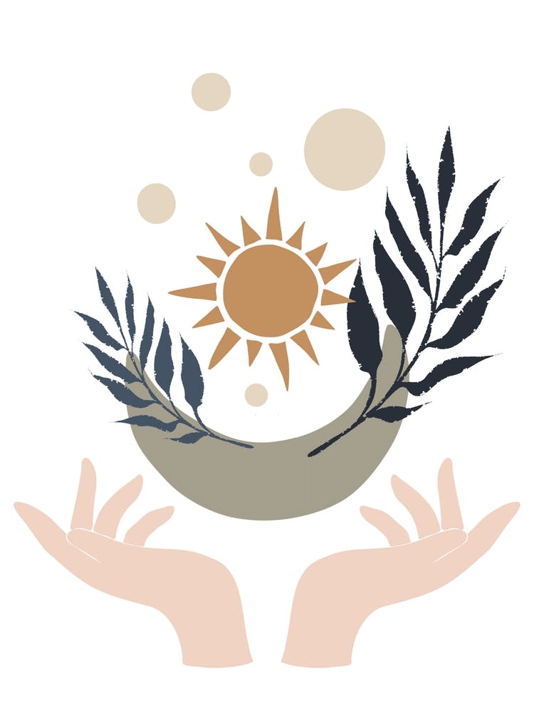 Sun And Leaves In Hands