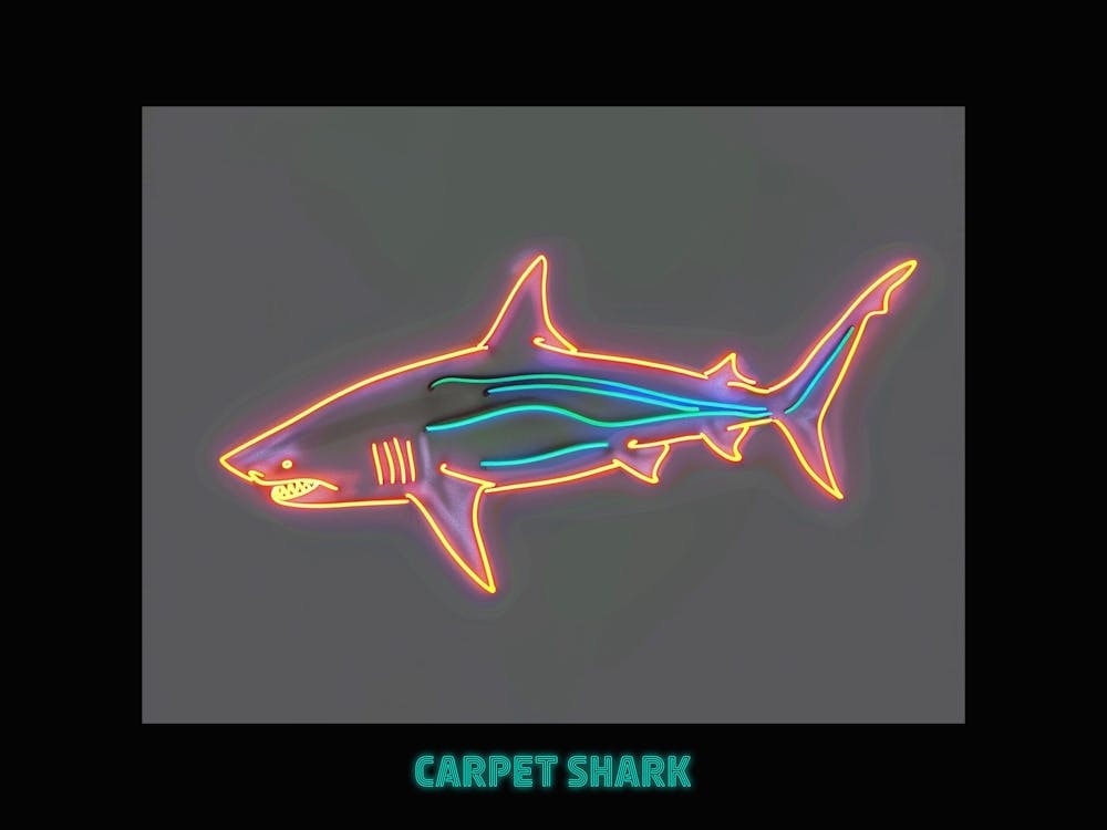 Neonorangener Teppichhai 6 Poster