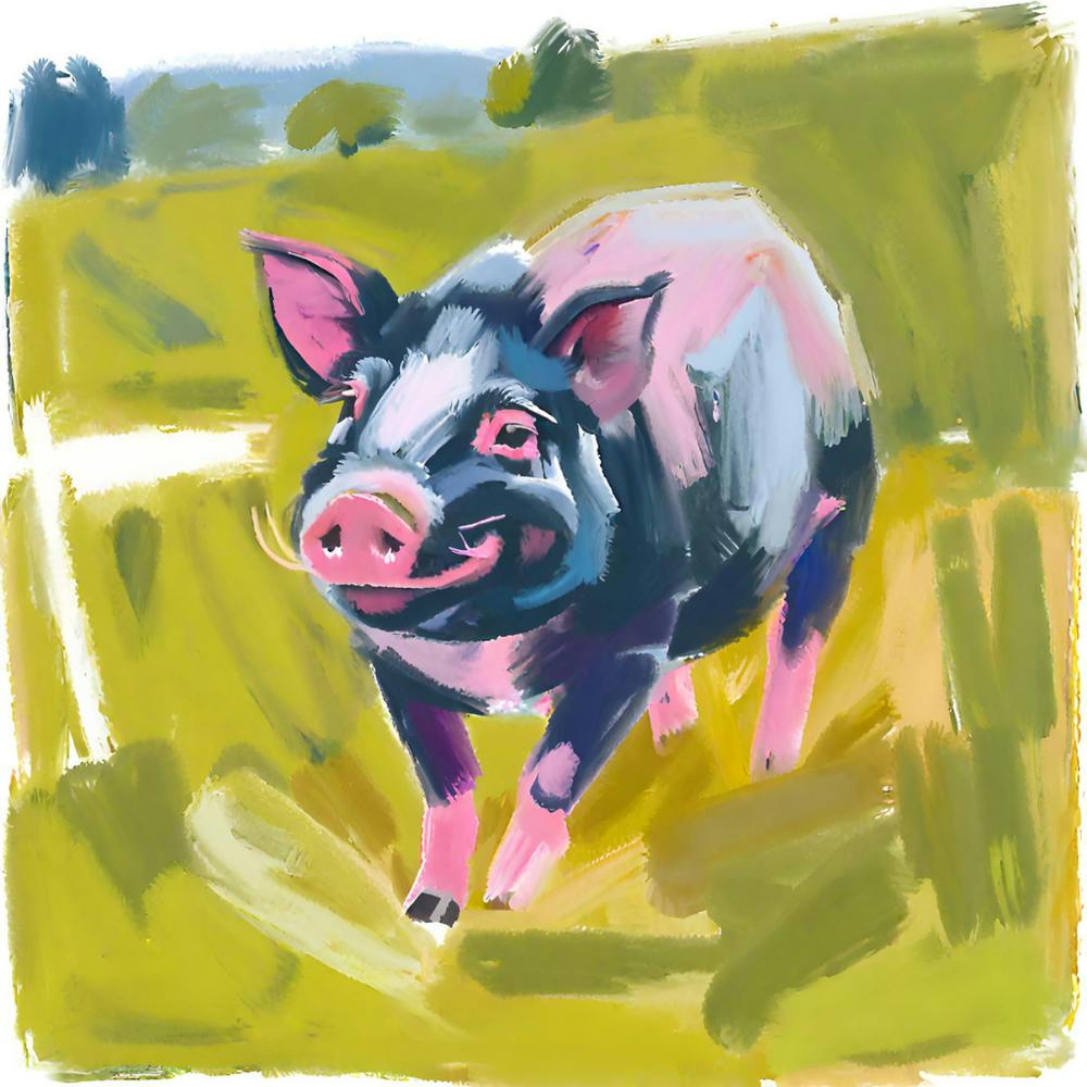 Hampshire Pig 03