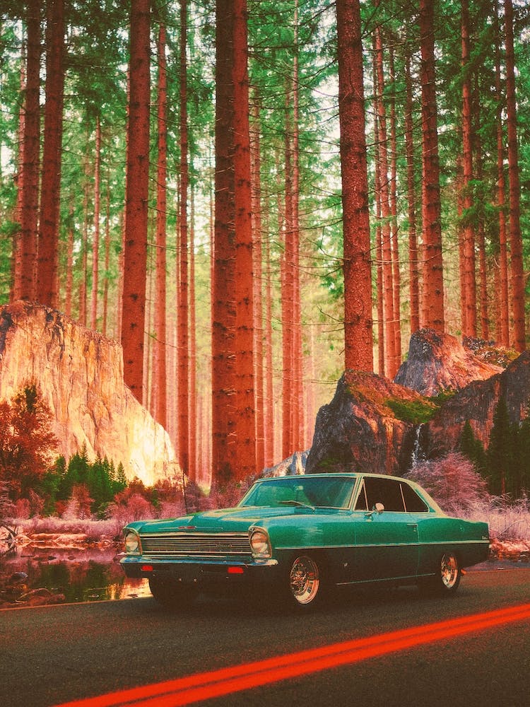 Hidden Heaven