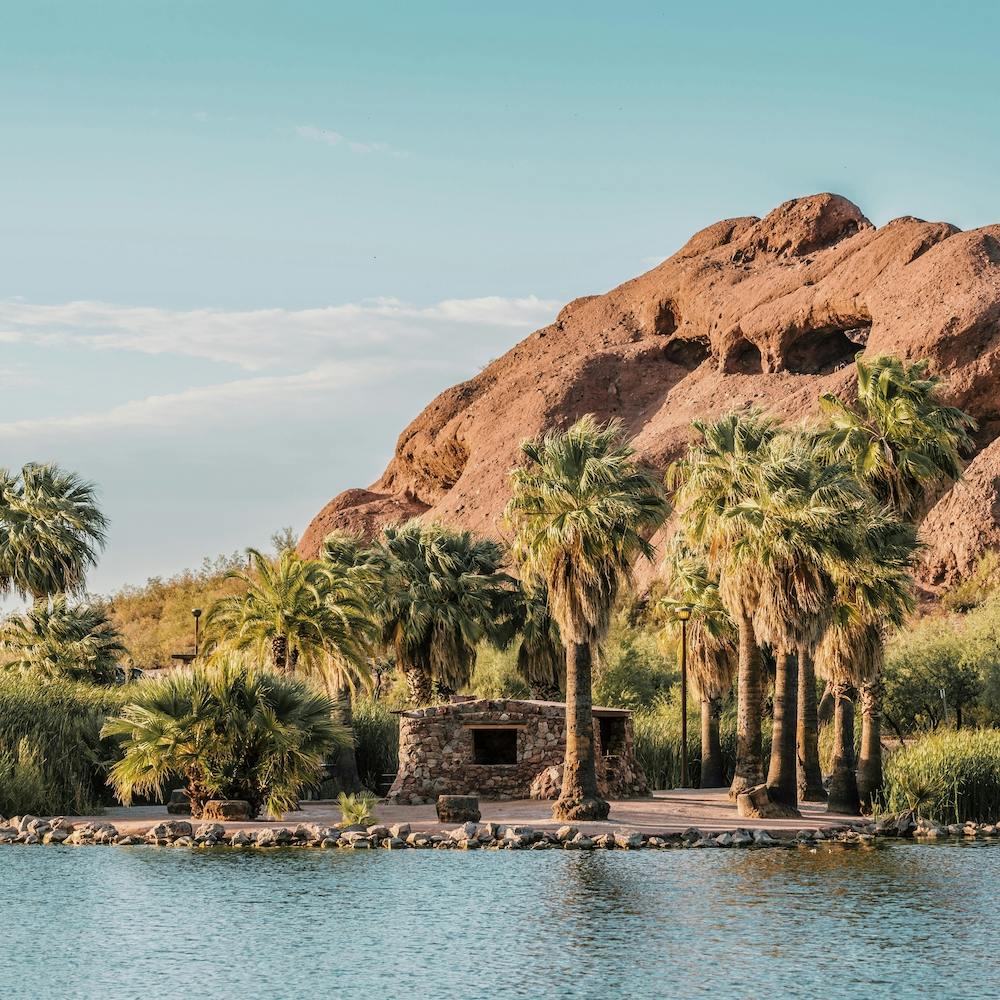 Phoenix Desert Park