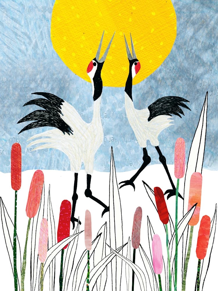 Cranes In The Meadow