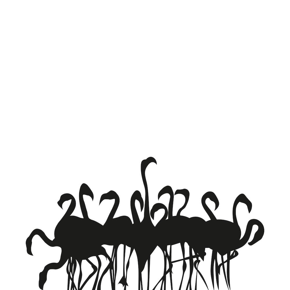 Flamboyance White Square