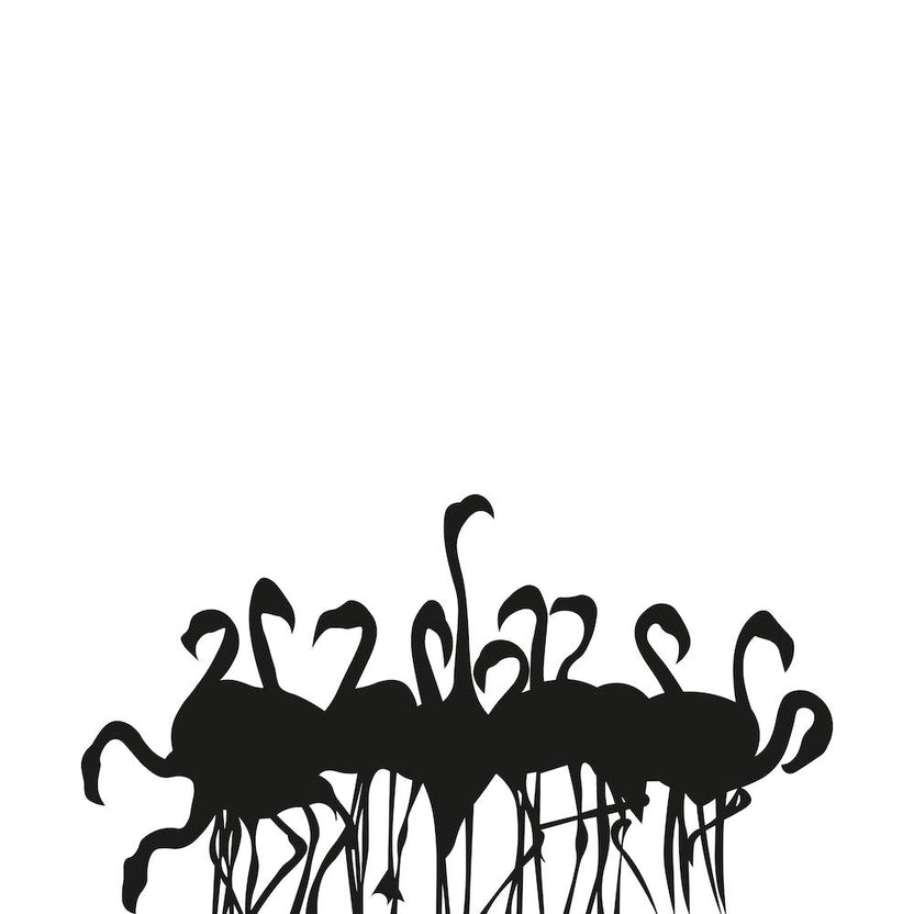 Flamboyance White Square