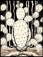 B&W Cactus Illustration Opuntia Fragilis 2