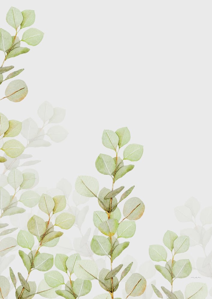 Eucalyptus I - Aquarelle