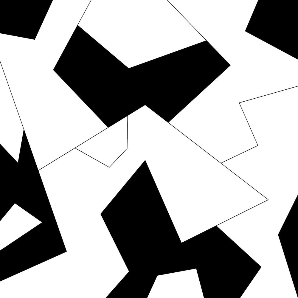 Abstract Black And White Pattern 13