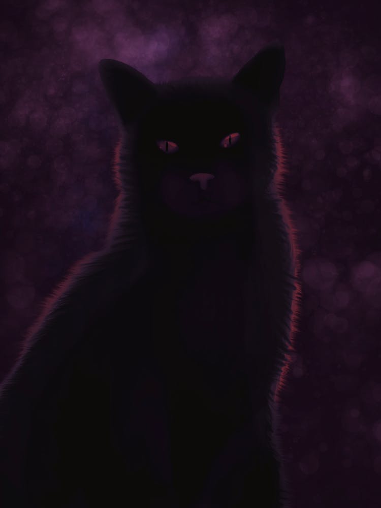 Mystical meow - Black Cat