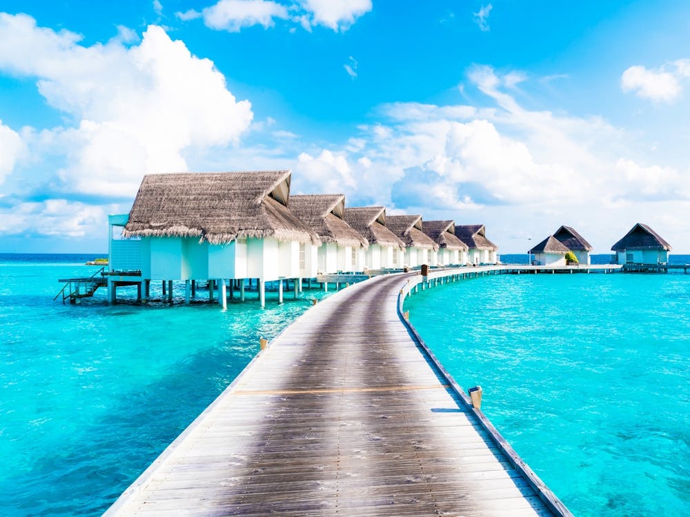 Maldives. Wooden bridge. Tropical. #3