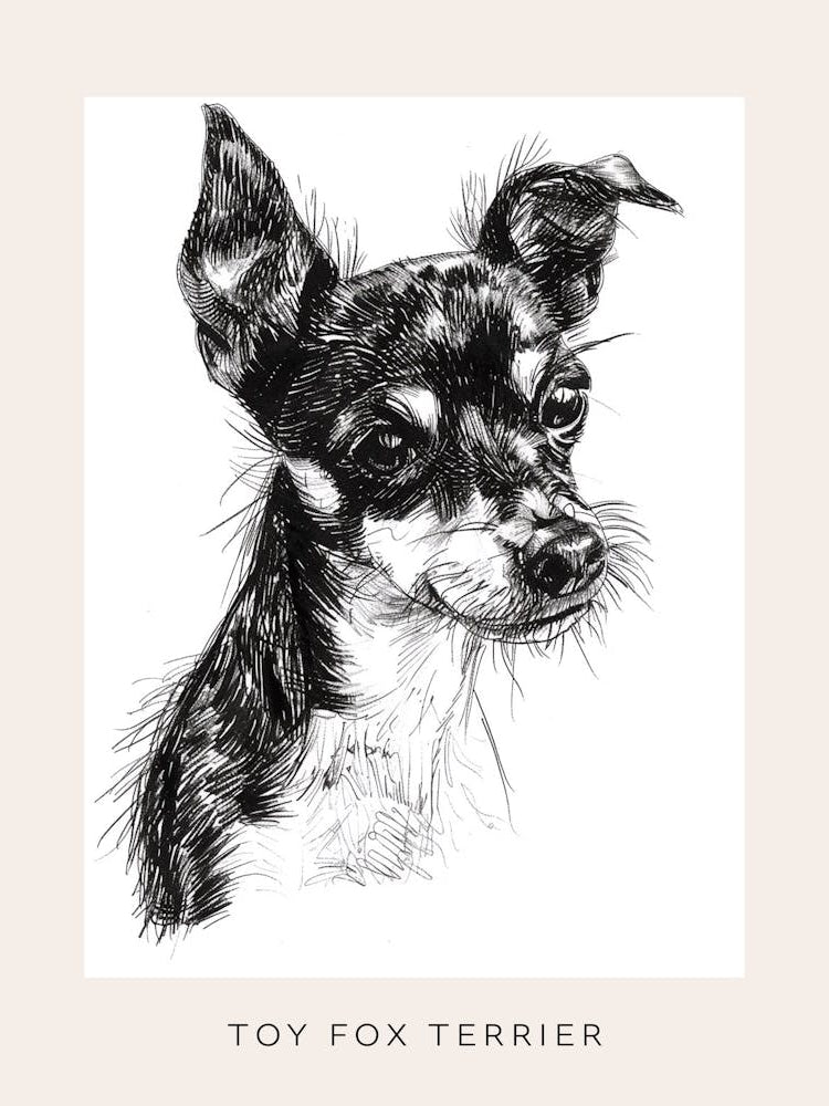Toy Fox Terrier Dog Line Sketch 2 Poster