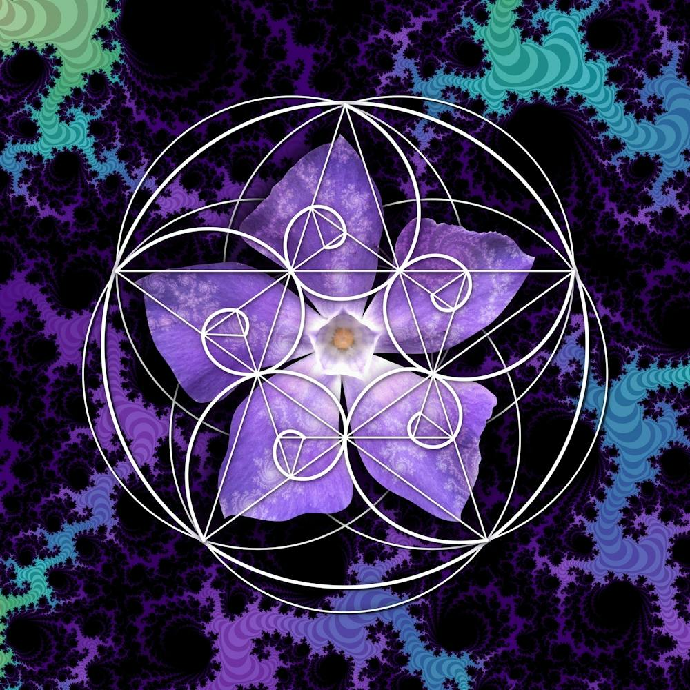 Fleurs Spirale de Fibonacci de Géométrie Sacrée 5
