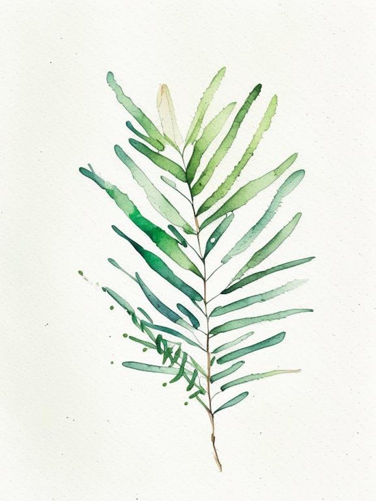 Yew Leaf Minimalist Watercolour 2