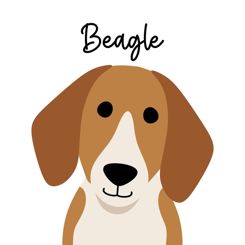Beagle