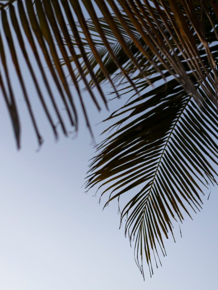 Minimal Blue Sky