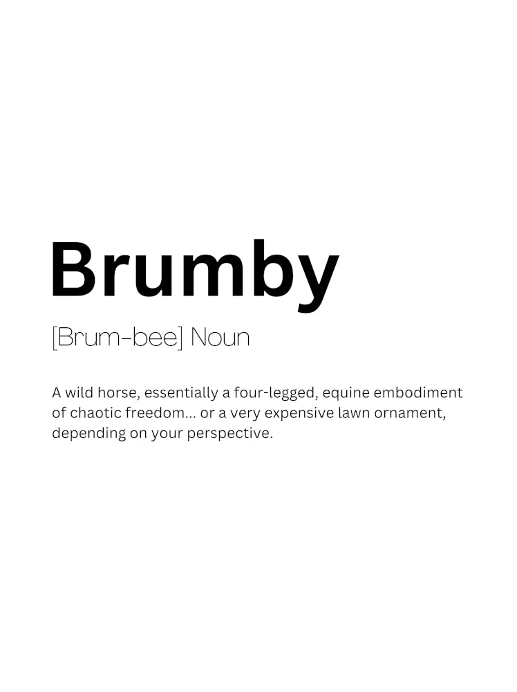 Brumby Definition Meaning