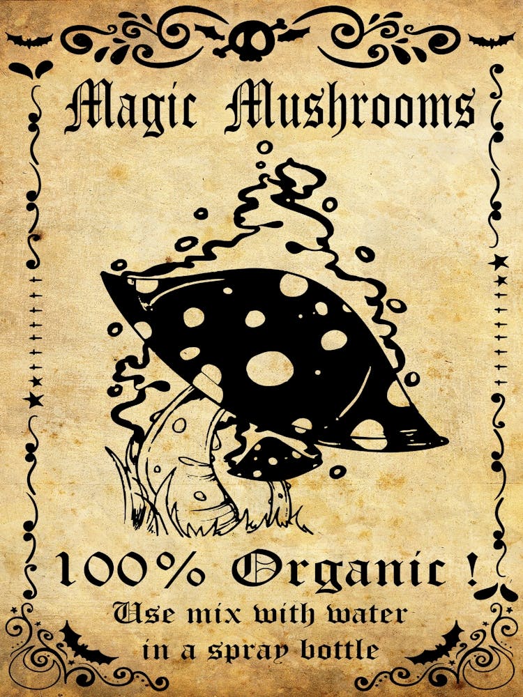 Magic Mushrooms