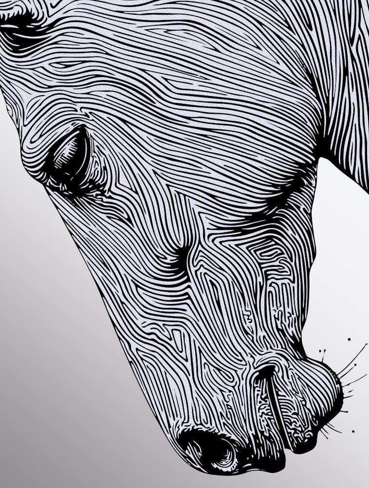Flow Of The Wild Minimalist Line Art Horse Wall Print