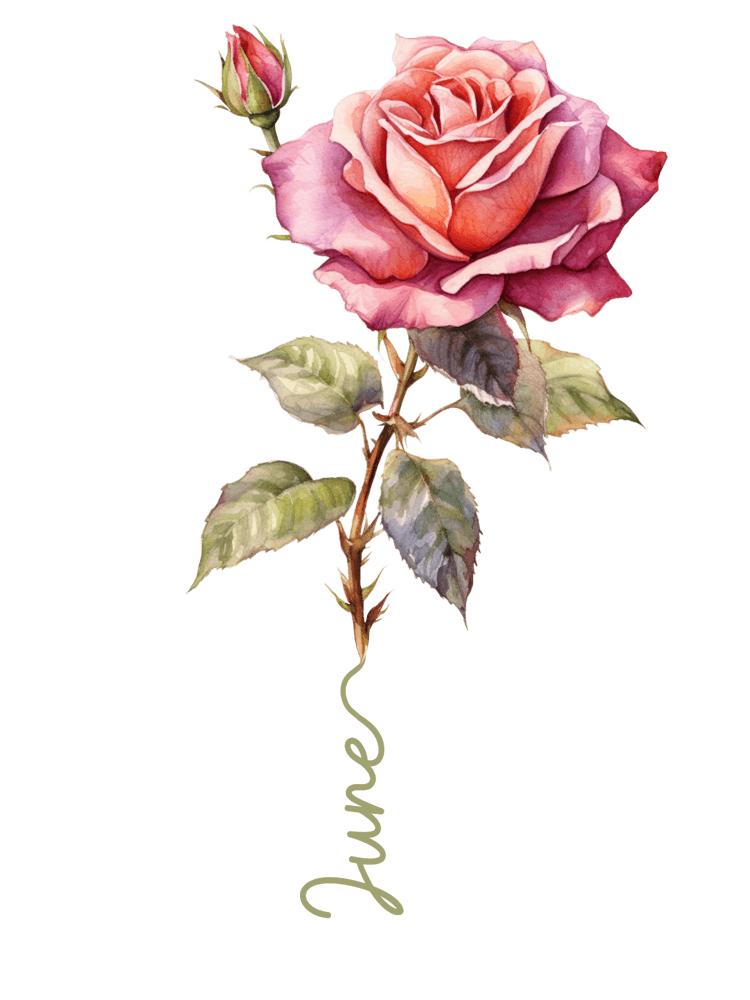 June Birth Flower Birth Month Botanical