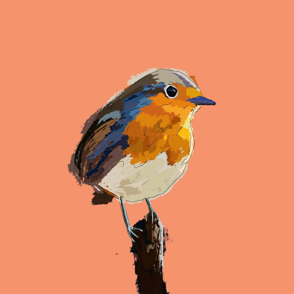 Robyn’s Robin