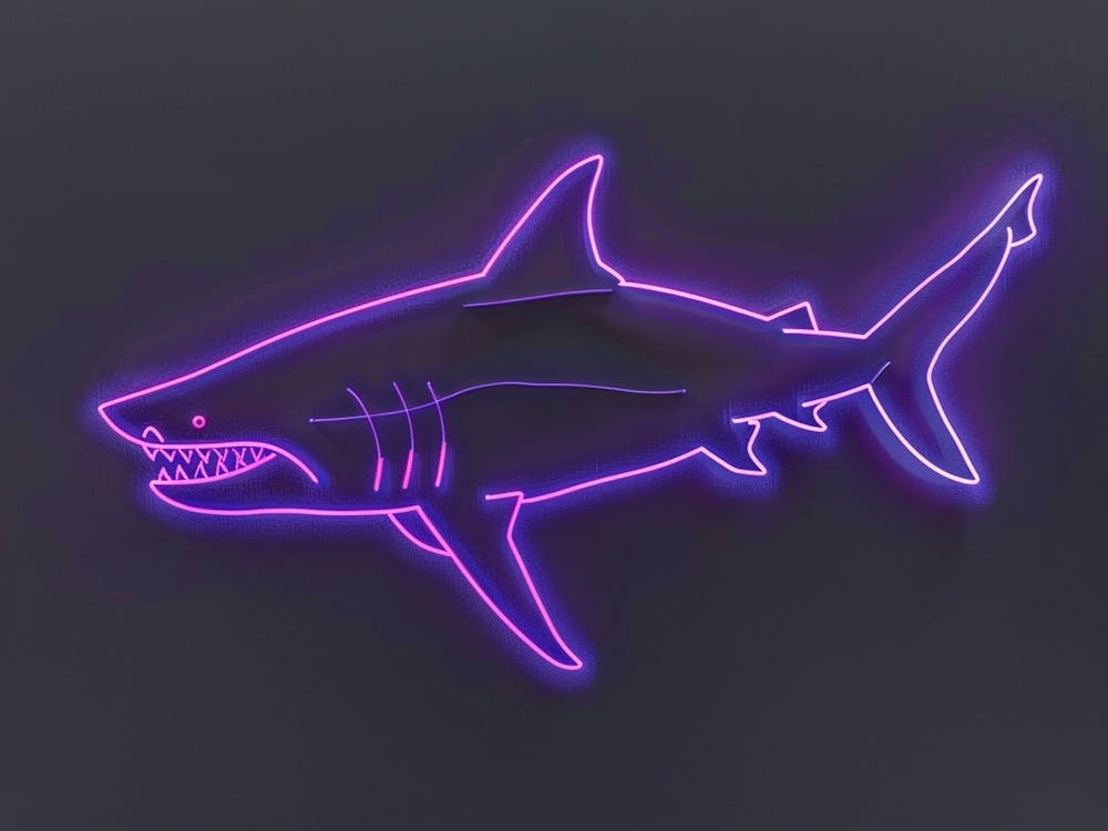 Neon Purple Smallscale Cookiecutter Shark 2