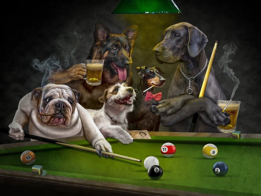 Funny Dog Playing Billiard 1