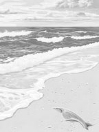 Dead Dolphin On The Beach