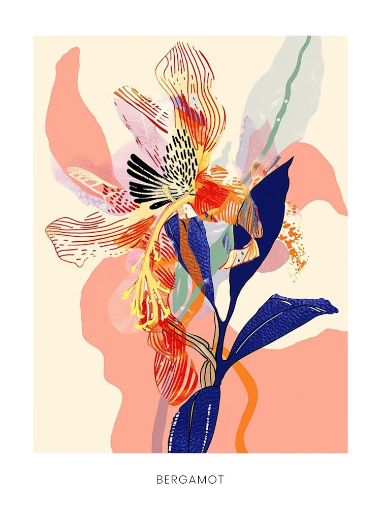 Colourful Flower Illustration Poster Bergamot 3