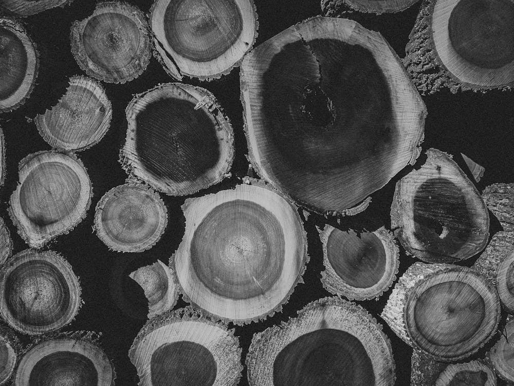 Black and White Logs