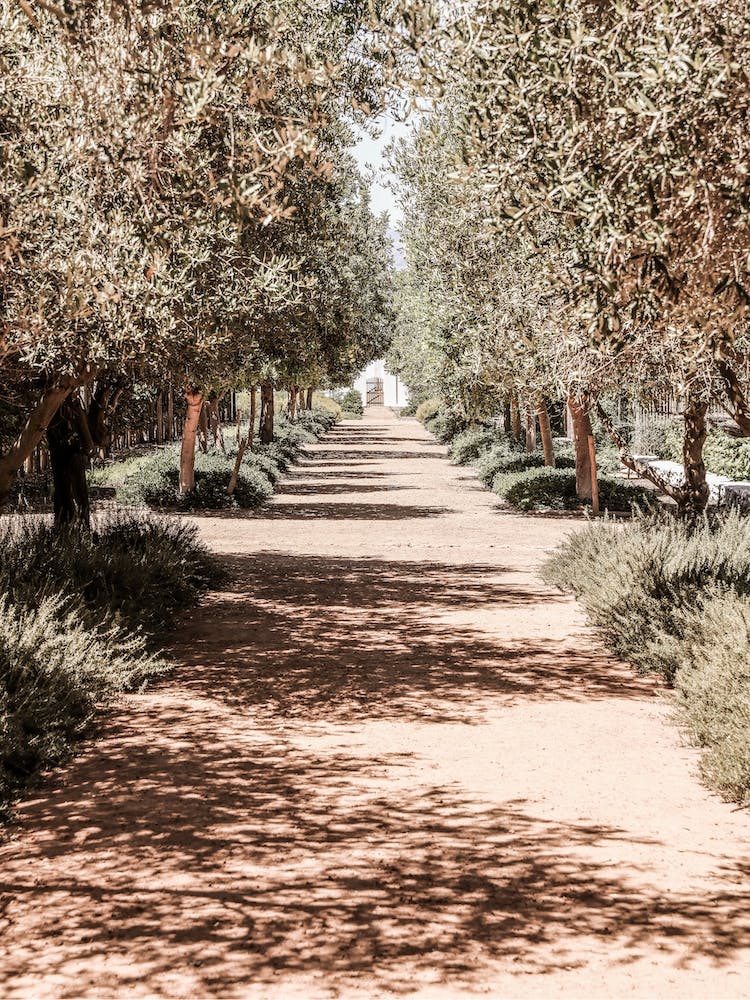 Secret Garden