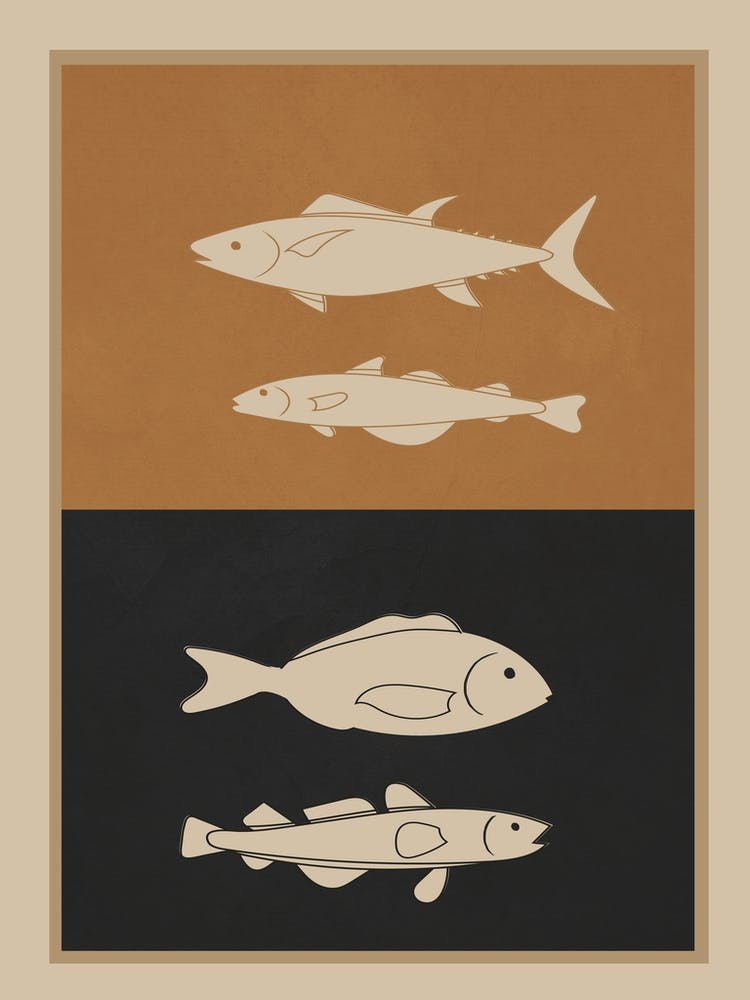 Fishes 3