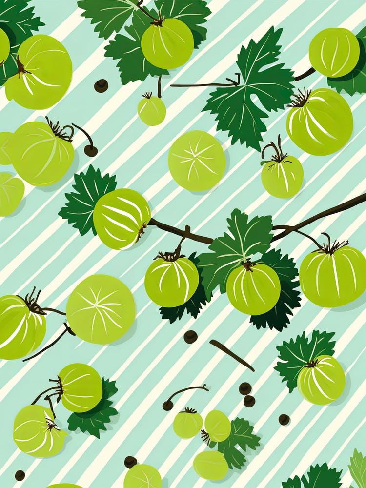 Gooseberries Fruit Summer Illustration 3