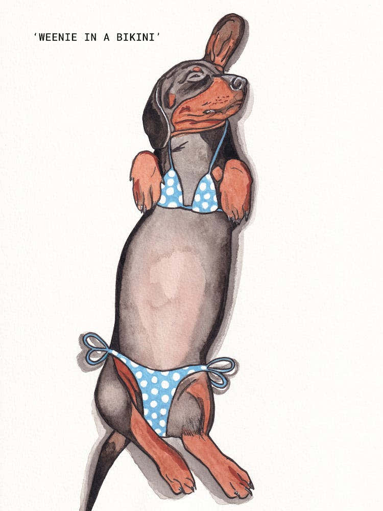 Dachshund In A Bikini