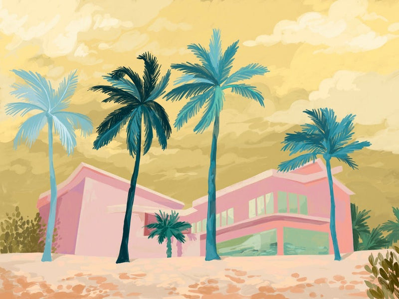 The Pink House