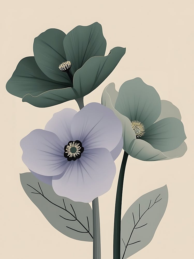Anemones