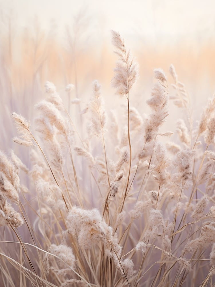 Boho Dried Flowers Lavender 3