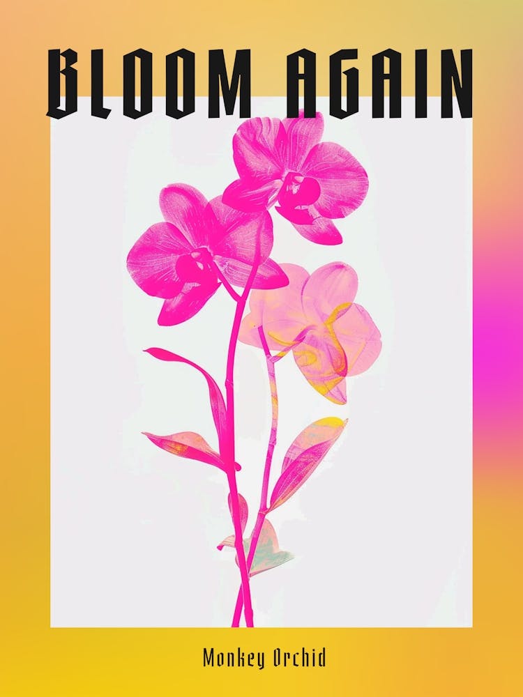 Hot Pink Monkey Orchid 1 Poster