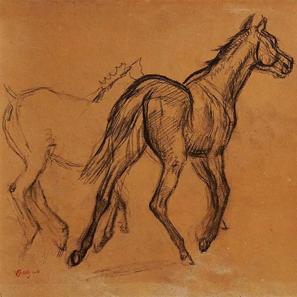 Horse Study - Edgar Degas
