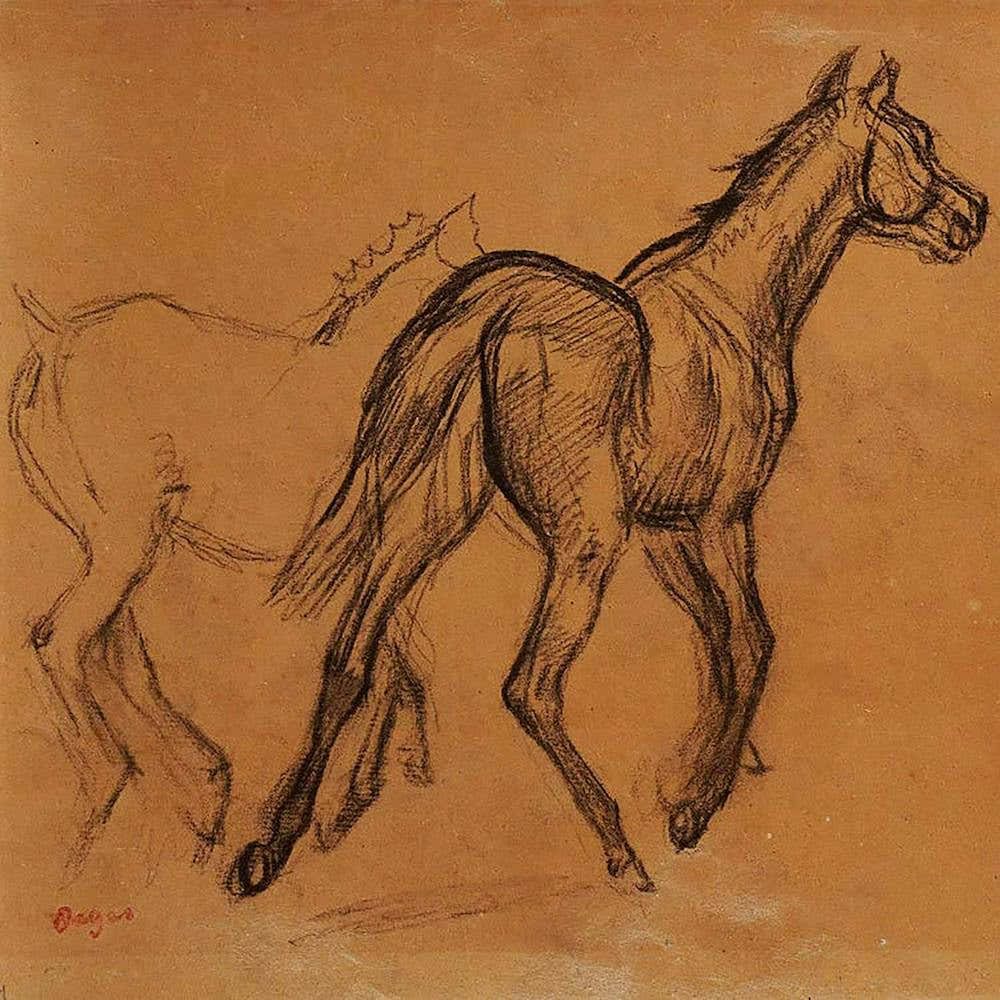 Horse Study - Edgar Degas