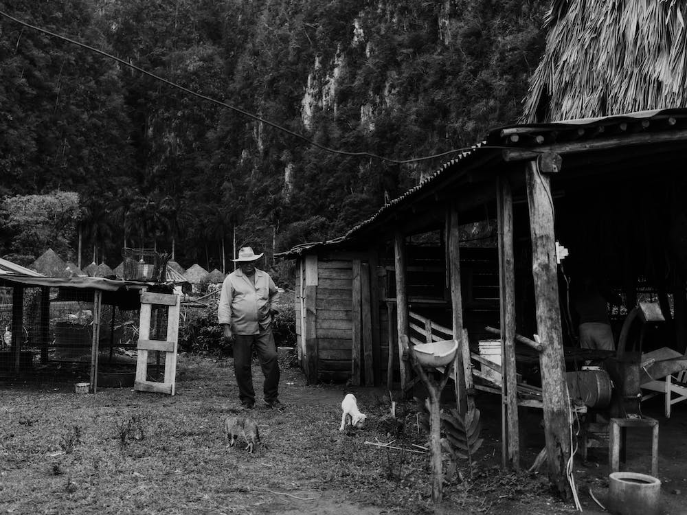 Tobacco Farm, Vinales, Cuba