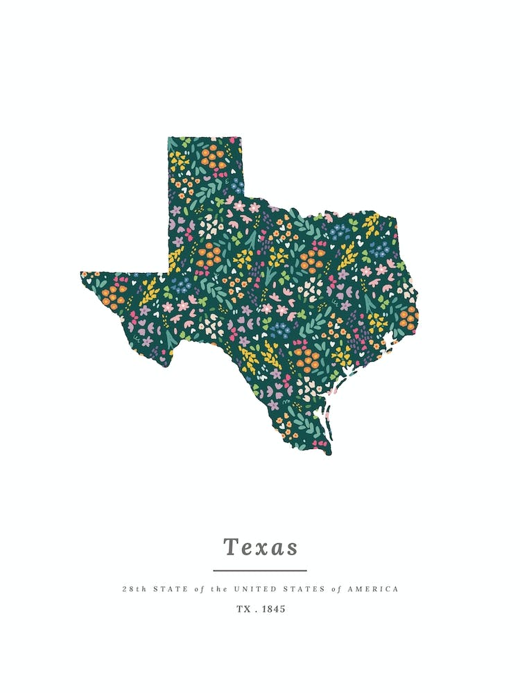 Texas State | Wildflowers on Juniper Green
